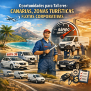 Destacar la alta concentración de talleres en provincias turísticas como Canarias y el peso de las flotas corporativas y de a